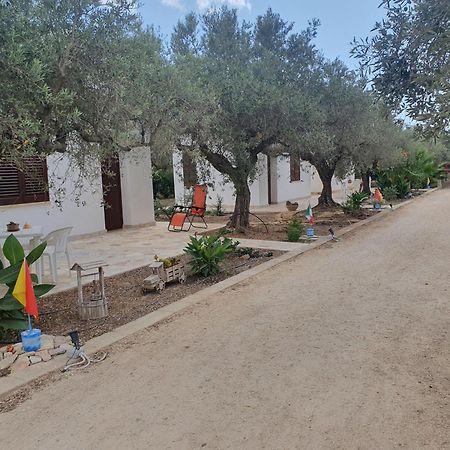 Agrisicilia Marinella di Selinunte Quarto foto