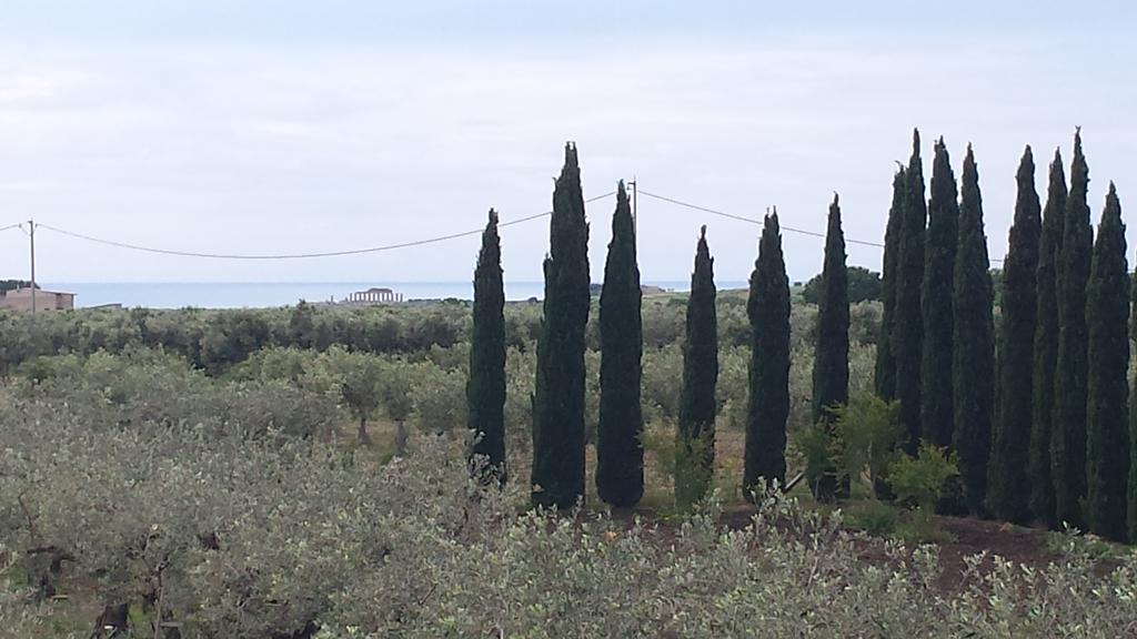 Agrisicilia Marinella di Selinunte Exterior foto
